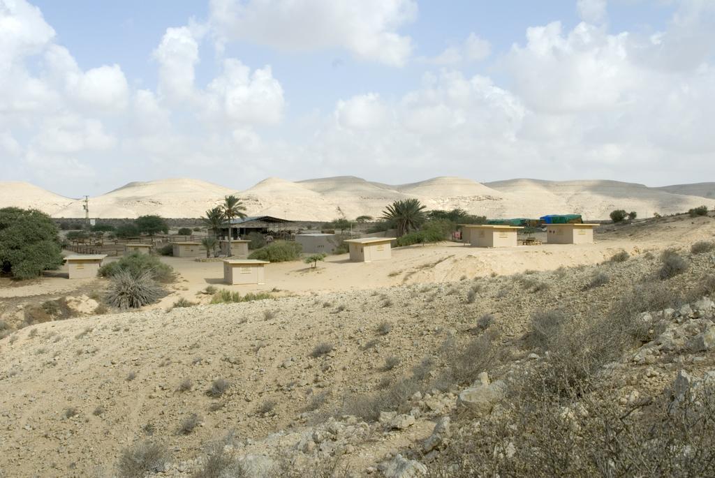 Negev Camel Ranch Villa Dimona Exterior photo