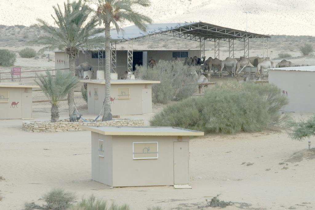 Negev Camel Ranch Villa Dimona Exterior photo