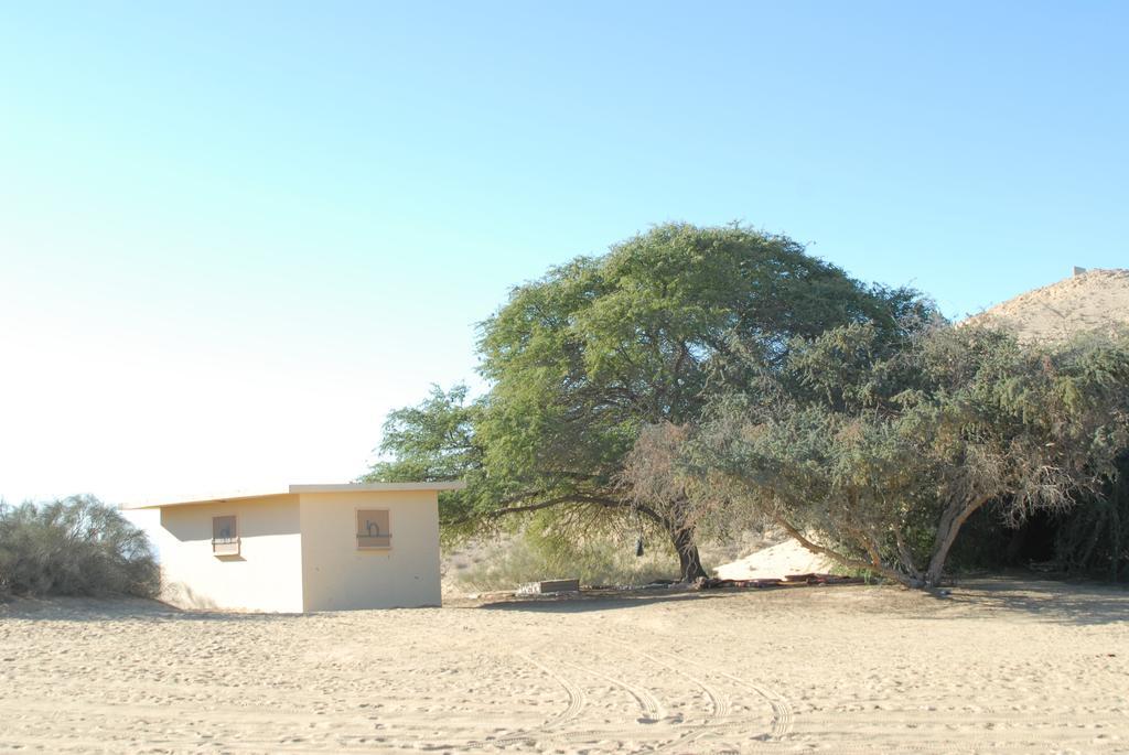 Negev Camel Ranch Villa Dimona Room photo