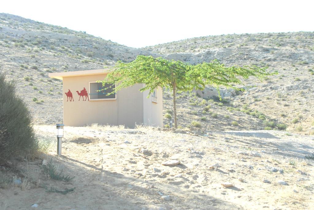 Negev Camel Ranch Villa Dimona Exterior photo
