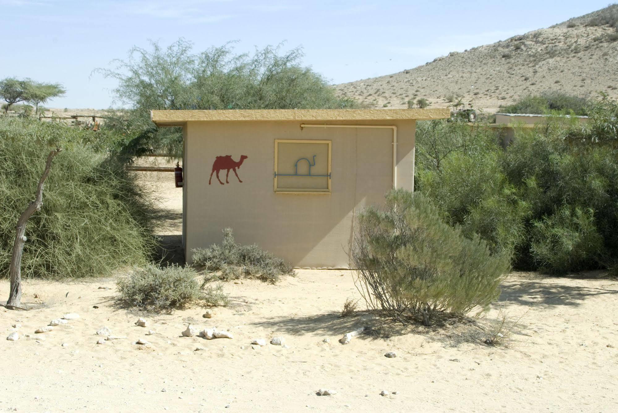 Negev Camel Ranch Villa Dimona Exterior photo