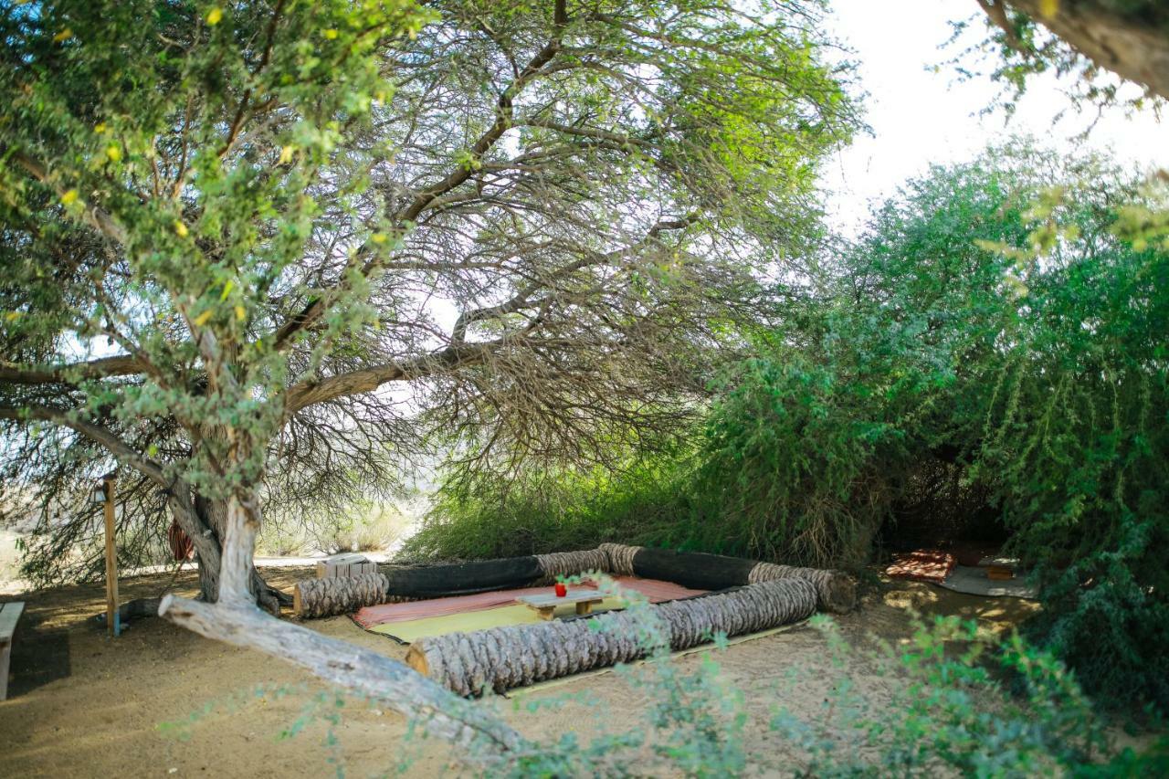Negev Camel Ranch Villa Dimona Exterior photo