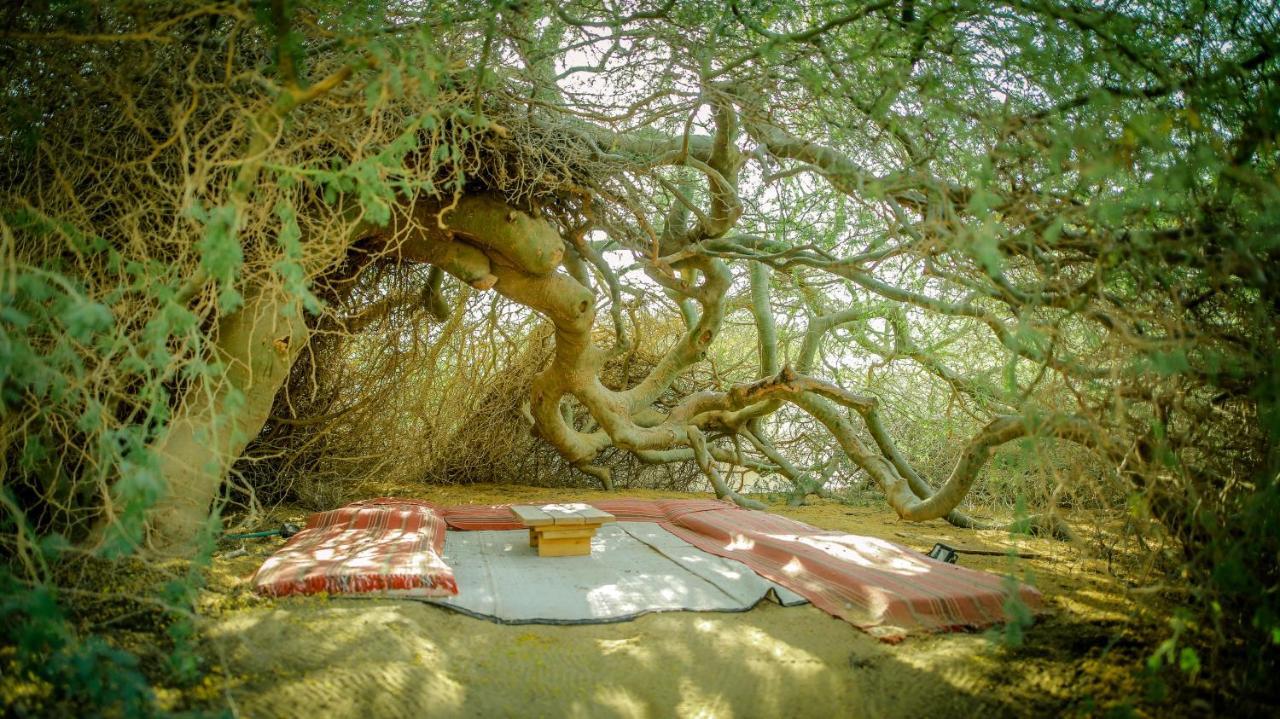 Negev Camel Ranch Villa Dimona Exterior photo