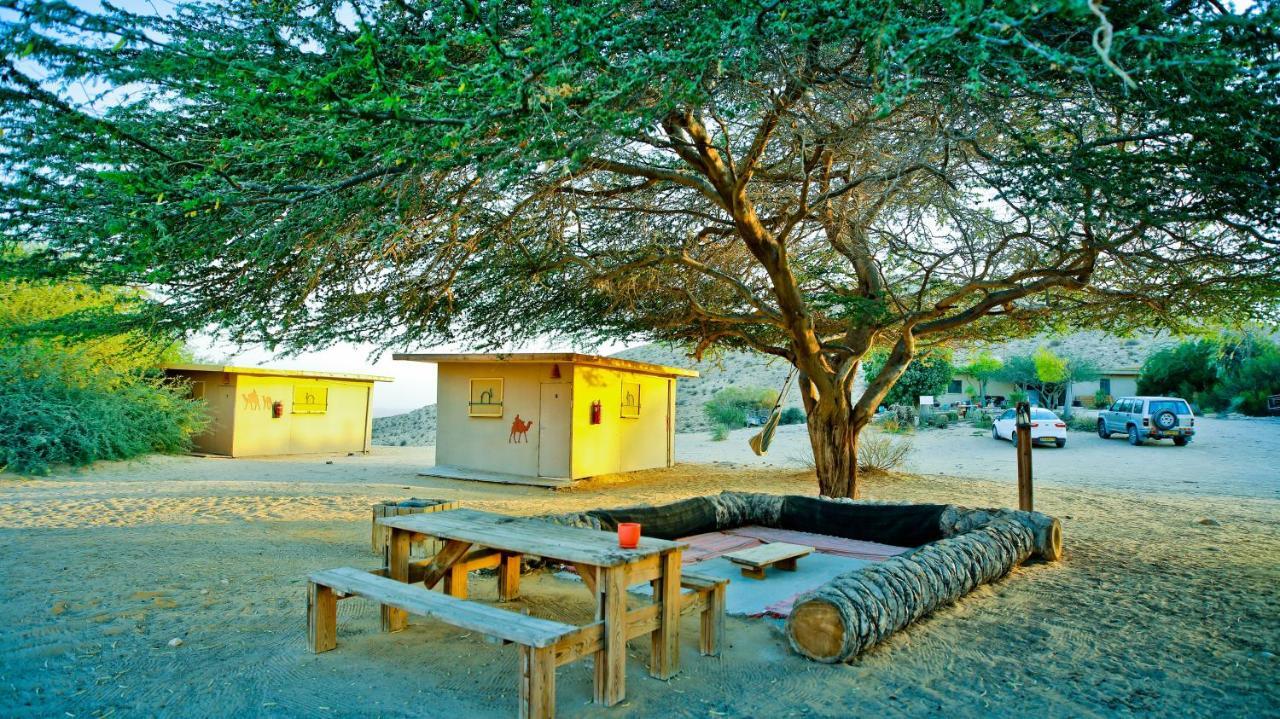 Negev Camel Ranch Villa Dimona Exterior photo