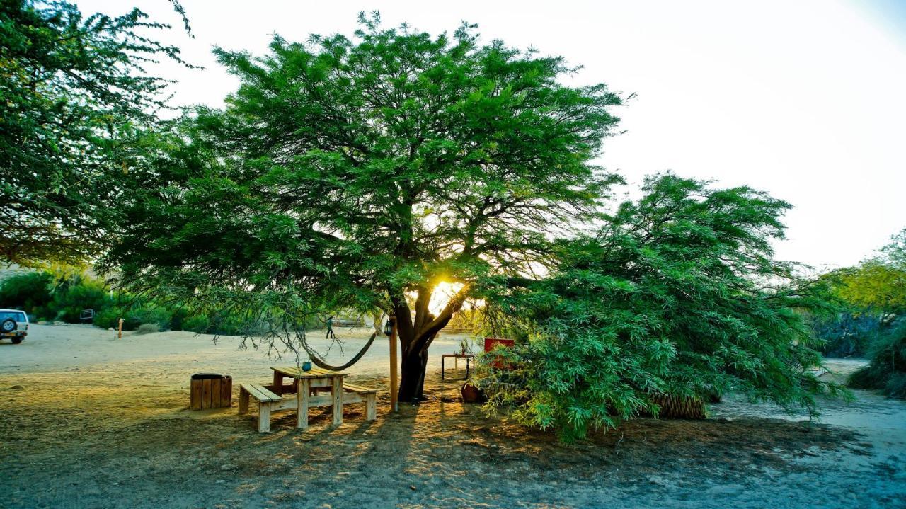 Negev Camel Ranch Villa Dimona Exterior photo